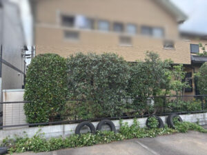 伐採・剪定・刈込の作業写真