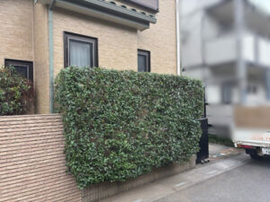 伐採・剪定・刈込の作業写真