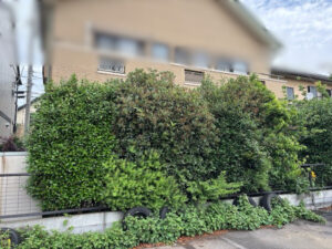 伐採・剪定・刈込の作業写真