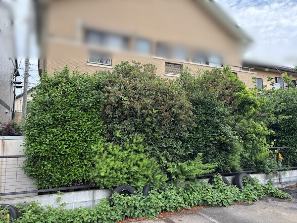 伐採・剪定・刈込の作業写真