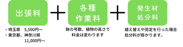 観葉植物の基本料金