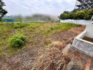 会社敷地内の除草作業（草刈り）　作業写真