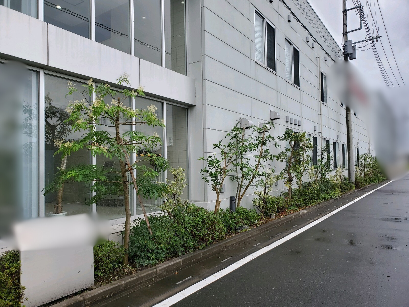 剪定・刈込・除草の作業写真