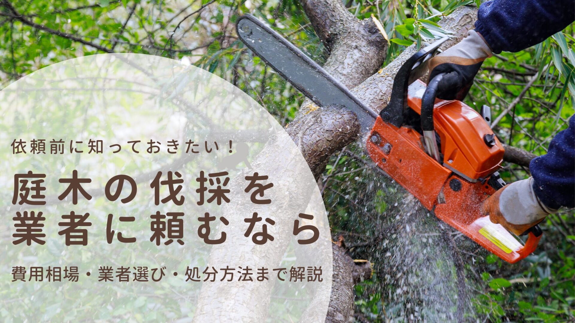 庭のお手入れ専門店 ニワナショナル（埼玉県）