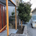 イヌマキ・モチノキ抜根の作業写真