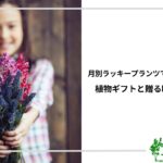 アイキャッチ_ラッキープランツ