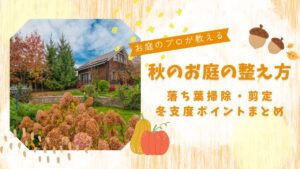 秋のお庭の整え方　アイキャッチ