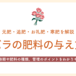 バラの肥料の与え方　アイキャッチ