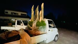 門松の配送・設置・撤去作業の様子
