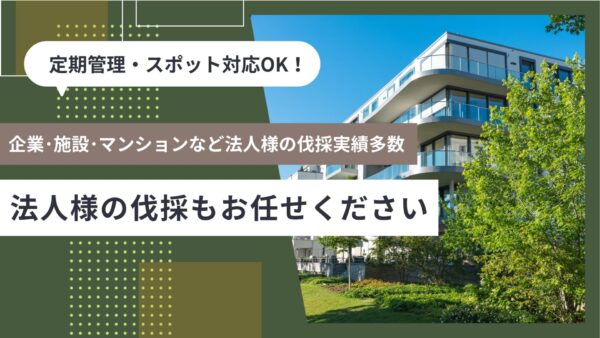 法人様の伐採もお任せください　アイキャッチ