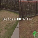 天然芝張り替え作業のアイキャッチ