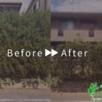 伐採・剪定の作業事例アイキャッチ