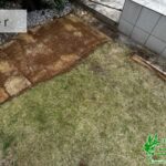 芝生の張り替え作業写真　アイキャッチ
