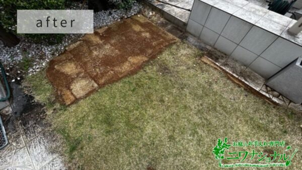 芝生の張り替え作業写真