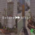 剪定,花植え,薔薇の作業事例アイキャッチ