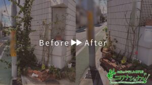 剪定,花植え,薔薇の作業事例アイキャッチ