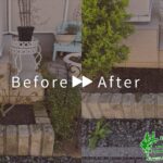 バラの植え替えの作業事例アイキャッチ