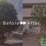 剪定・抜根・植樹の作業事例アイキャッチ