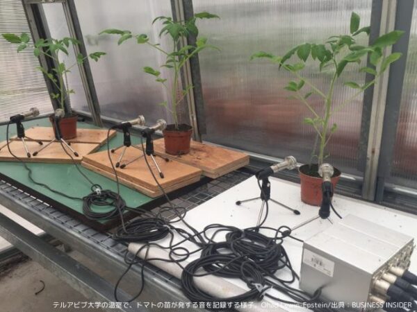 出典：BUSINESS INSIDER