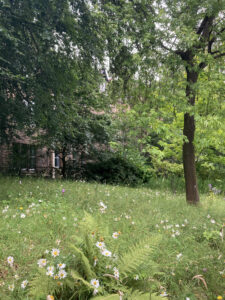 カオスガーデニング