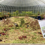 The Friends of Glasgow Botanic Gardens