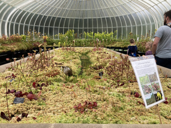 The Friends of Glasgow Botanic Gardens