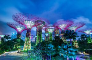 庭園のイルミネーション