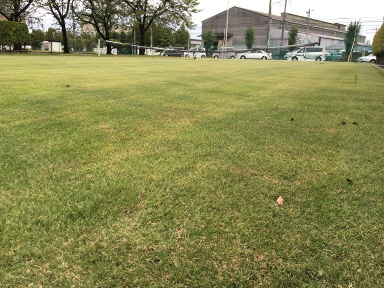 芝生のお庭にする方法 張り方とメリット デメリット お庭の専門店ニワナショナル 東京 埼玉