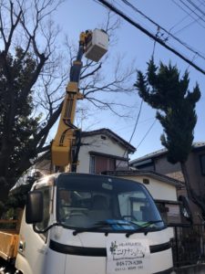 2.14　高木伐採　桶川市