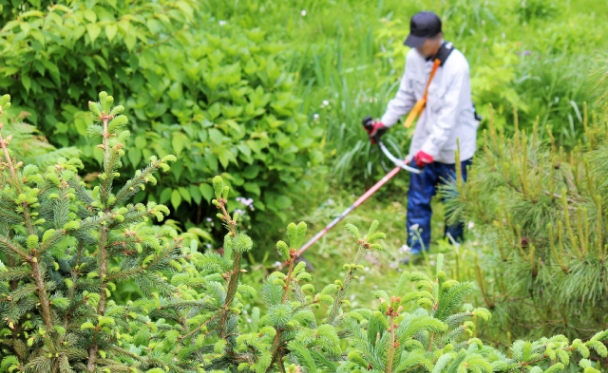 草刈りします。費用は見積ります。 a11b4bb3ba448d1fa402ac3dc62cc9
