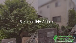枝落とし・高さ下げ剪定の作業事例アイキャッチ