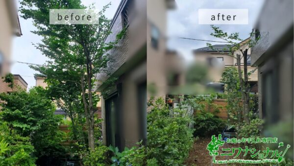 剪定の作業写真