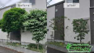 剪定の作業事例　アイキャッチ