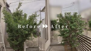 剪定前後の写真