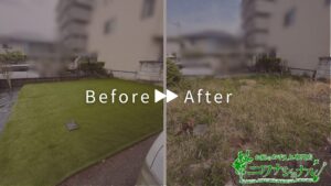 ドッグランづくり（人工芝張り）、植栽の移植・抜根の作業事例写真　アイキャッチ