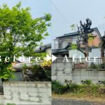 作業前後の写真