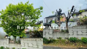 作業前後の写真