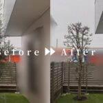 作業前後の写真