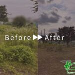 会社敷地内の除草作業（草刈り）　作業事例アイキャッチ