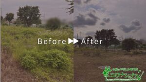 会社敷地内の除草作業（草刈り）　作業事例アイキャッチ