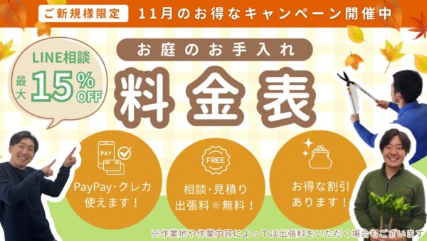 料金表 秋のキャンペーンバージョン アイキャッチ