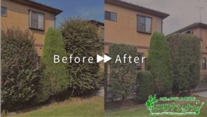 刈込・芝刈りの作業事例　アイキャッチ