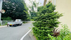 剪定,薔薇の作業写真