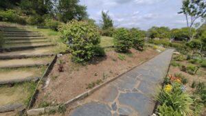 花植え作業写真