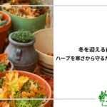 アイキャッチ_ハーブの寒さ対策
