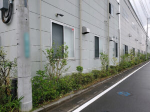 剪定・刈込・除草の作業写真