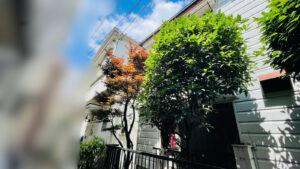 作業前写真