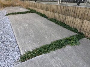 砂利敷きの作業写真