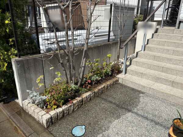 花植え・移植の作業写真