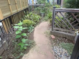 除草作業写真